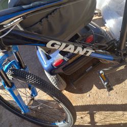 Giant bike