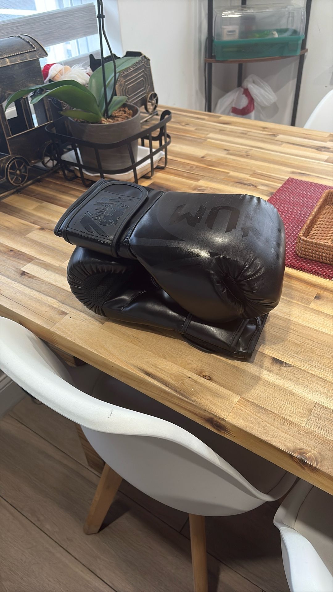 Venum 14 Oz Boxing Gloves