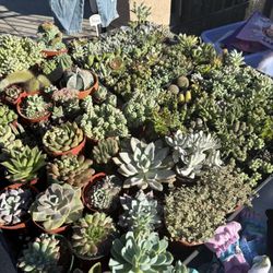Yard Sale March 21st 