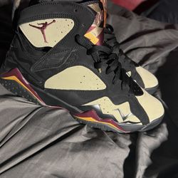 Jordan 7 