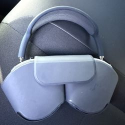 Apple Headphones 
