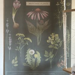 Medicinal Plant Cloth Poster
