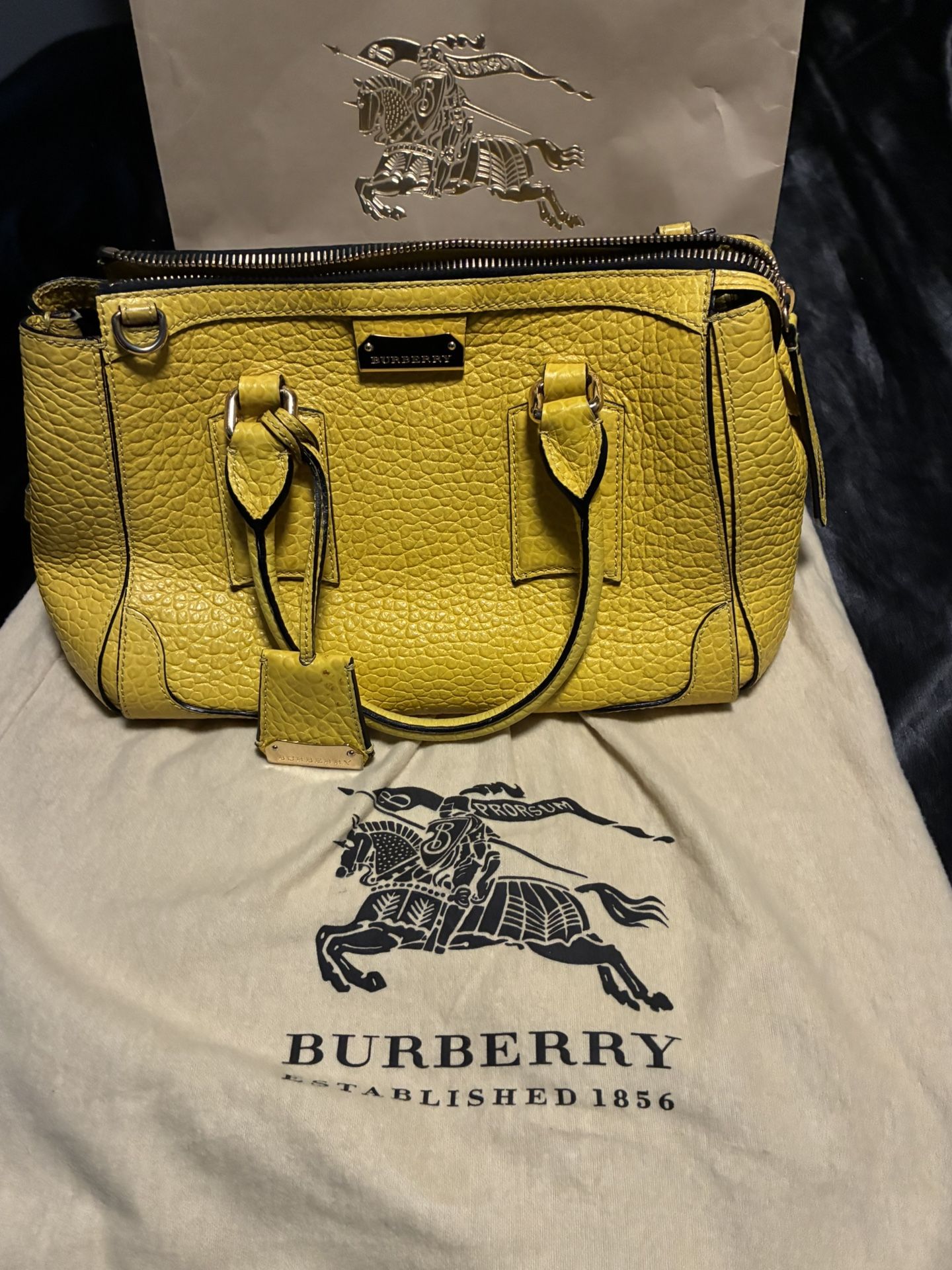Burberry Purse. W/box And Bag