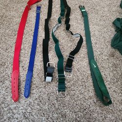 Baseball Belts 