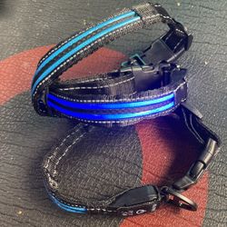 DOGLED USB-C led Light up Dog Collar, 3D Tree Design Comfortable and Soft Material,Multicolored Lighting，Night Dog Collar 