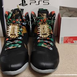 LeBron James IX Watch The Throne Sz 11.5 BNIB