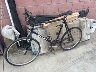Vintage giant iguana, Mountain Bike
