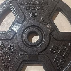 2 GOLD'S GYM 10 LB Barbell Plate Weights Standard Hole 20 Pounds Total