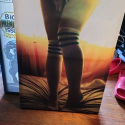 Woman's Legs Framed Canvas