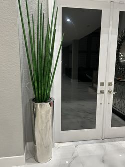 Snake grass with metallic cone planter 