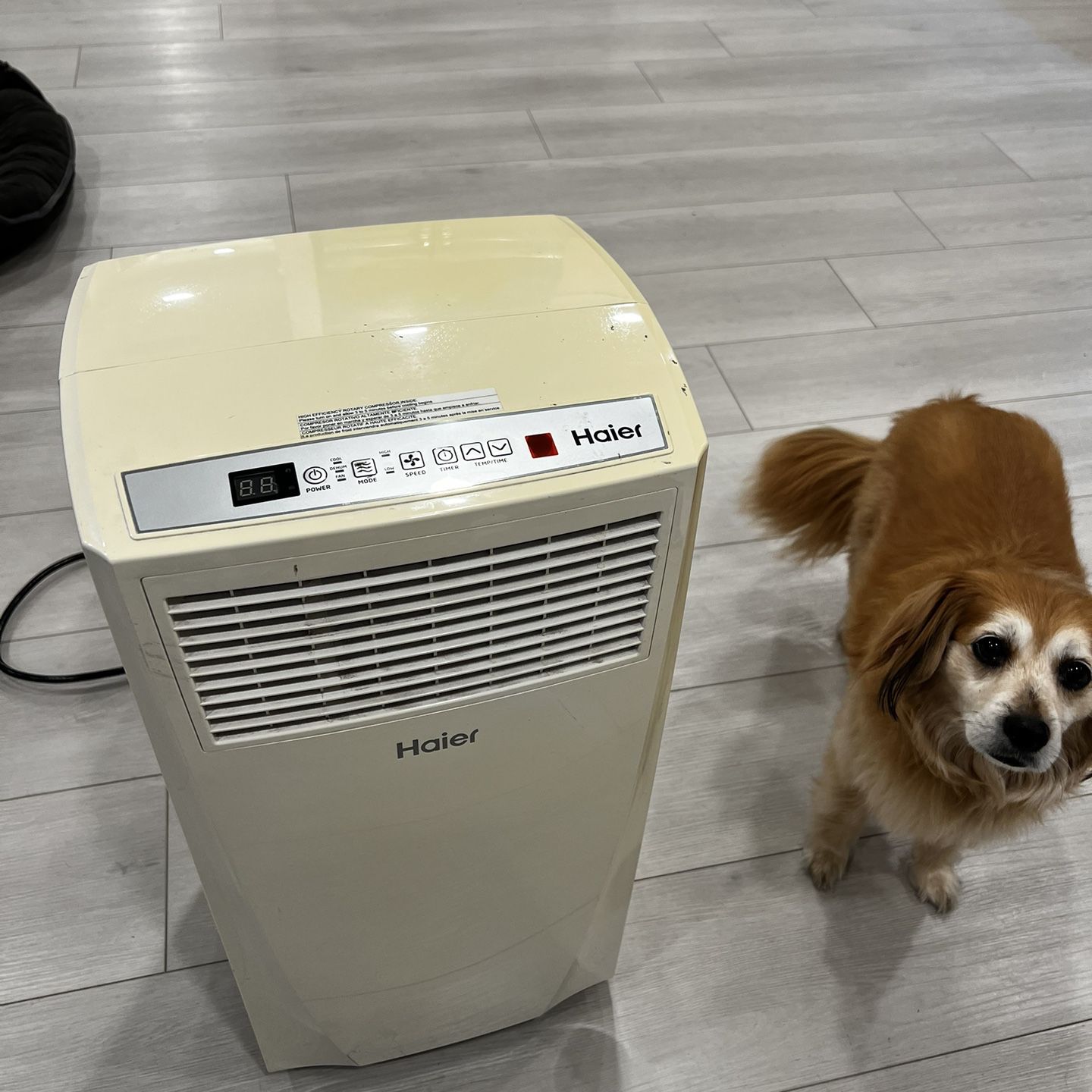 Portable Air Conditioner on Wheels - Beat the Summer Heat for $90