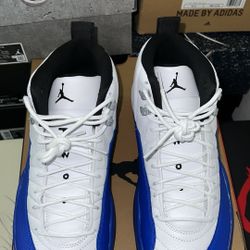 Jordan 12 Blueberry 