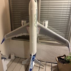 E-flite Airbus A320neo 1.5m Airliner Twin 64mm EDF BNF Basic with AS3X+ and Safe Select EFL-1493 RC Sport Airplanes 