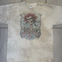 Y2K 2009 Grateful Dead Skeleton Crew Neck T-Shirt Liquid Blue Sz XL Beige Bertha