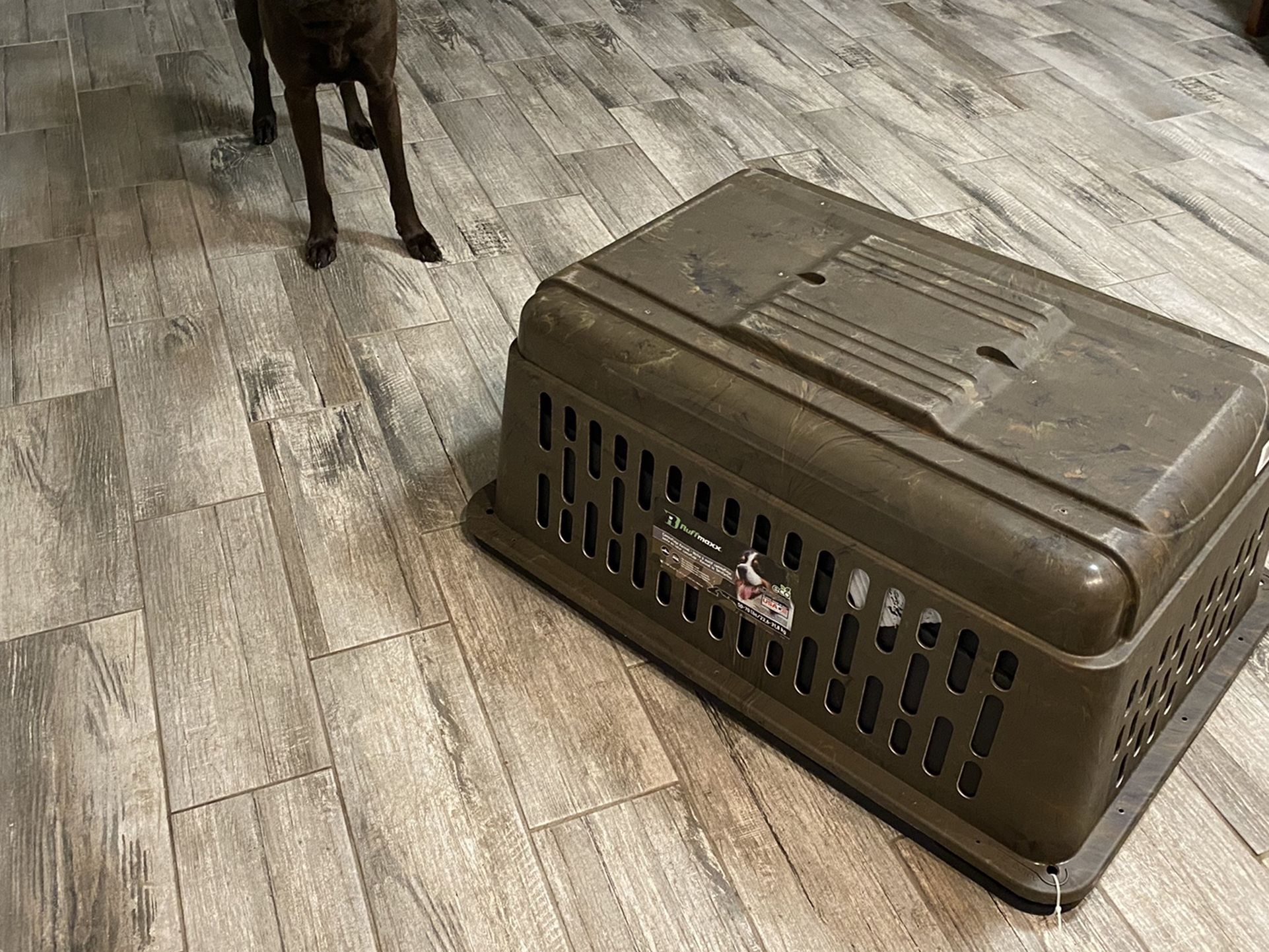 Petco Ruff Maxx Camo Kennel