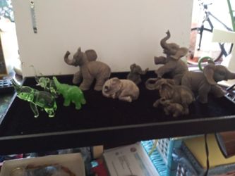 Elephants