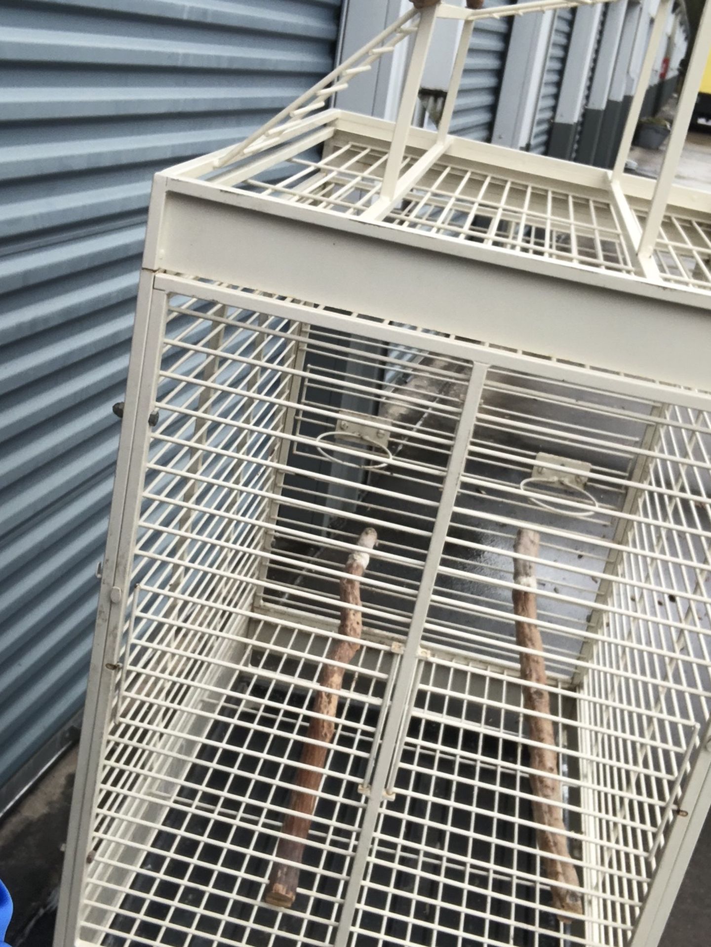Big Bird Cage For Sale