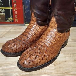 Black Jack 10.5 D Hornback Caiman 