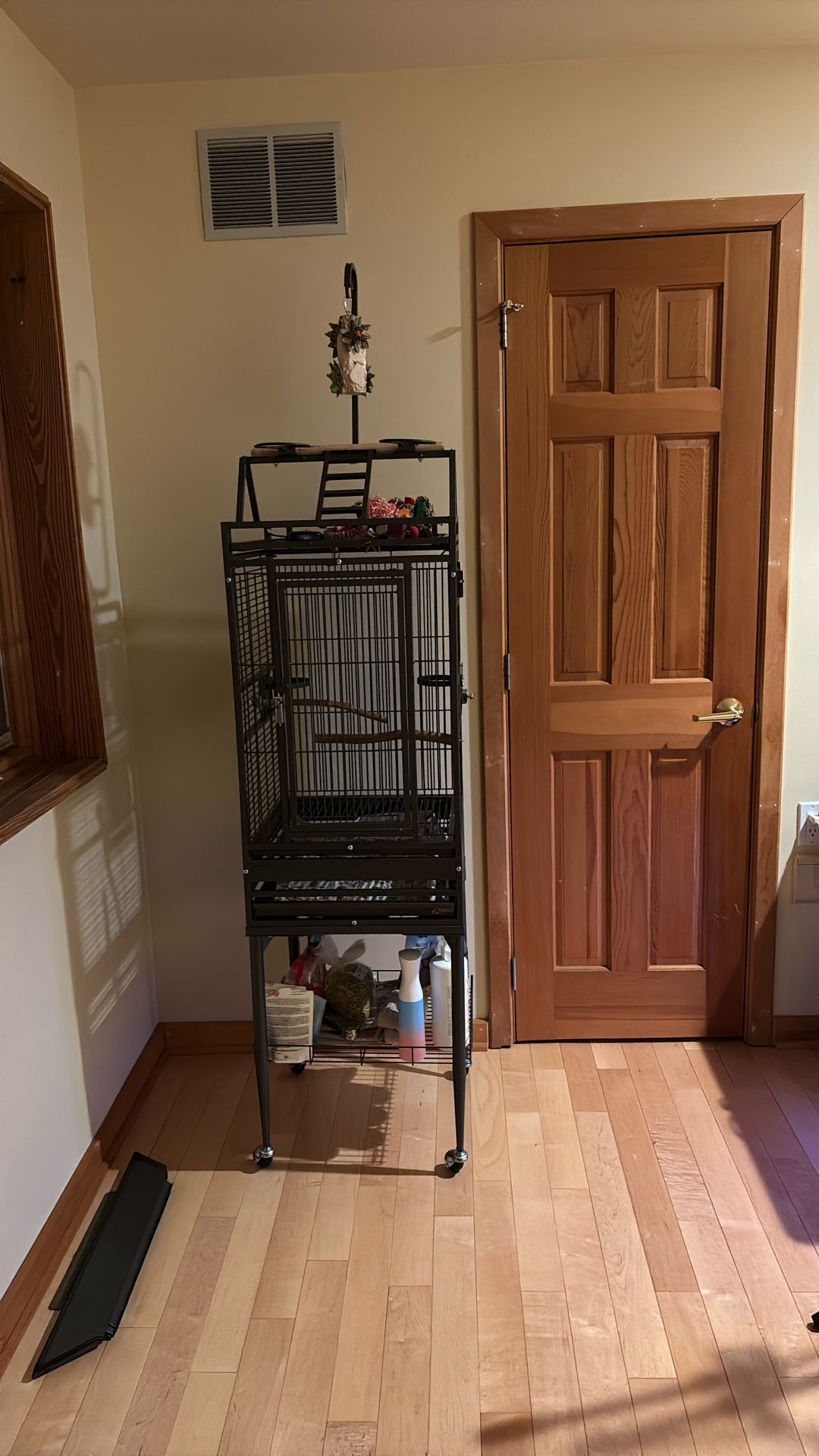 King’s Bird Cage 18 Inch By 18 Inch