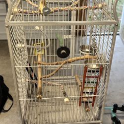 Bird Cage