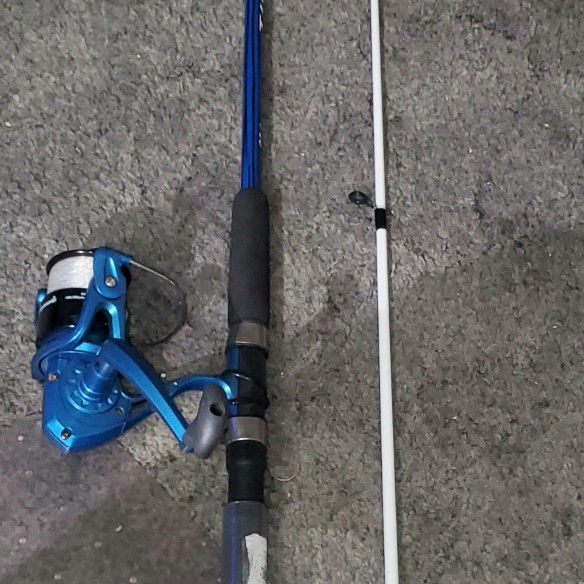 Shakespeare Tiger Spinning Reel On 7ft Shakespeare Tiger Rod for Sale in  Plant City, FL - OfferUp