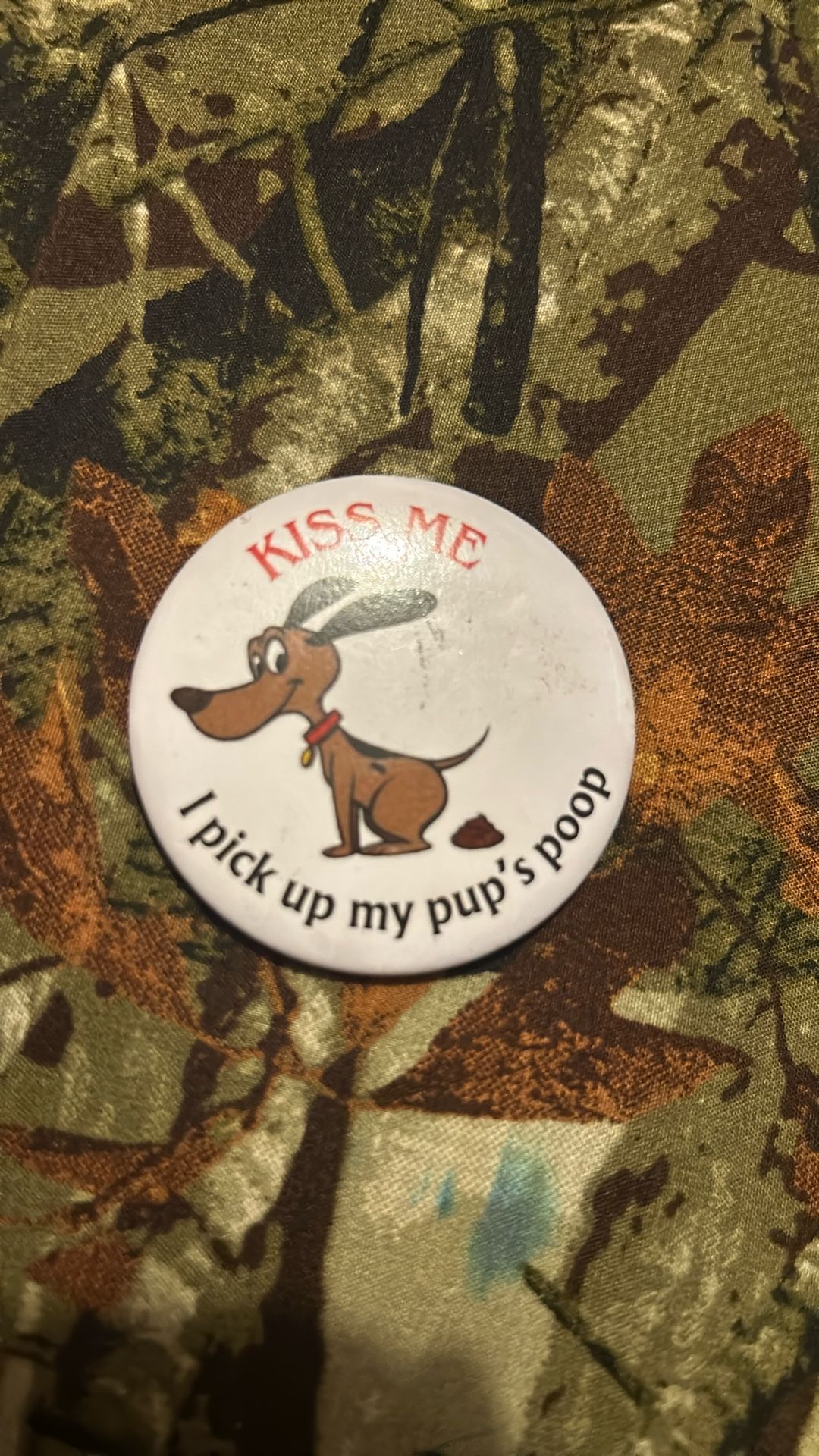 Kiss me I picked up my pups poop (button)