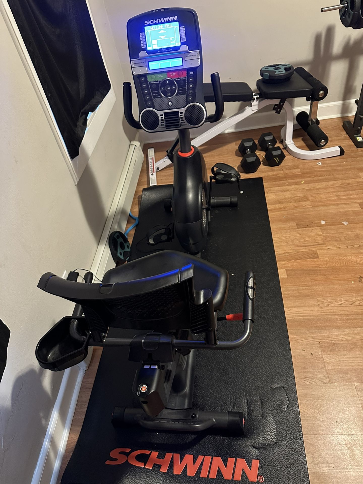 Schwinn Recumbent Bike