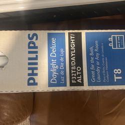 2 Lamps With Phillip lights