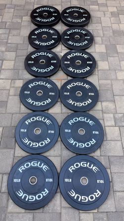 ROGUE ECHO BUMPER PLATES V2