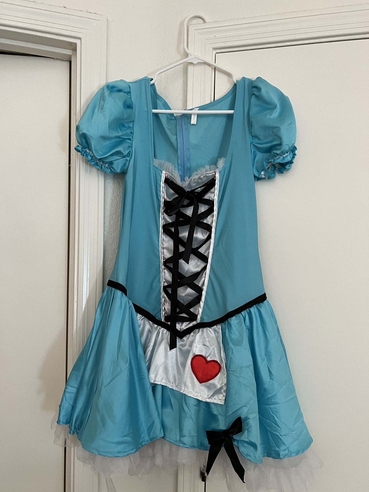 Alice In Wonderland Costume With Accessories