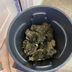 Aquarium Rock