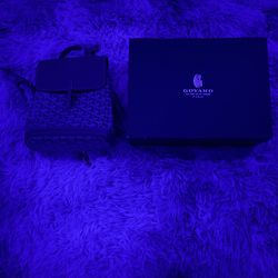 Authentic Goyard Mini Alpin Backpack Gray – Like New w/ Box & Dust Bag