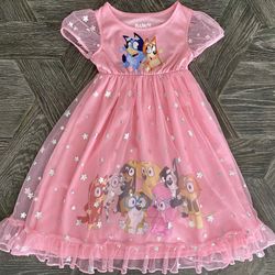 Bluey nightgown (Girls 2T)