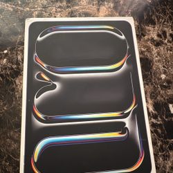 iPad Pro 11 Inch (M4)