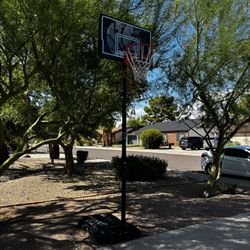 Lifetime Adjustment Basketball Hoop