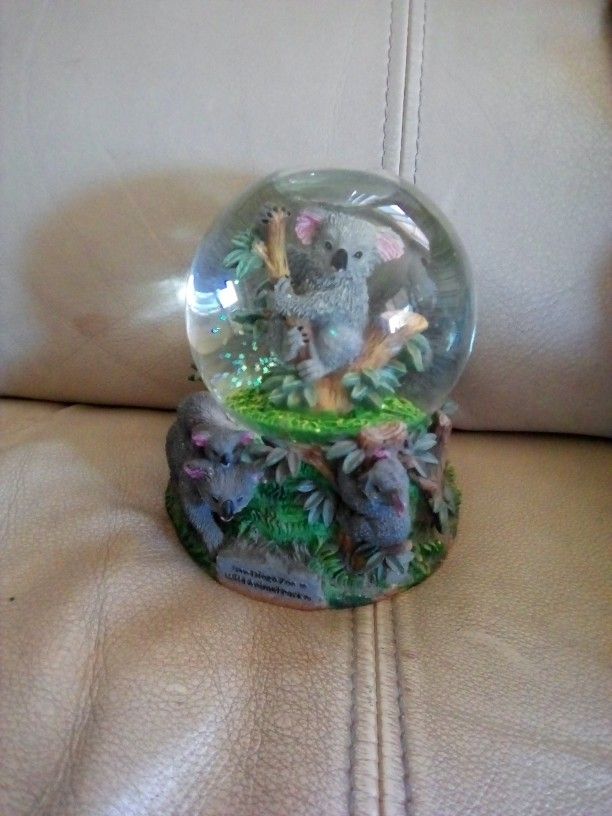 kola bear Snow globe.