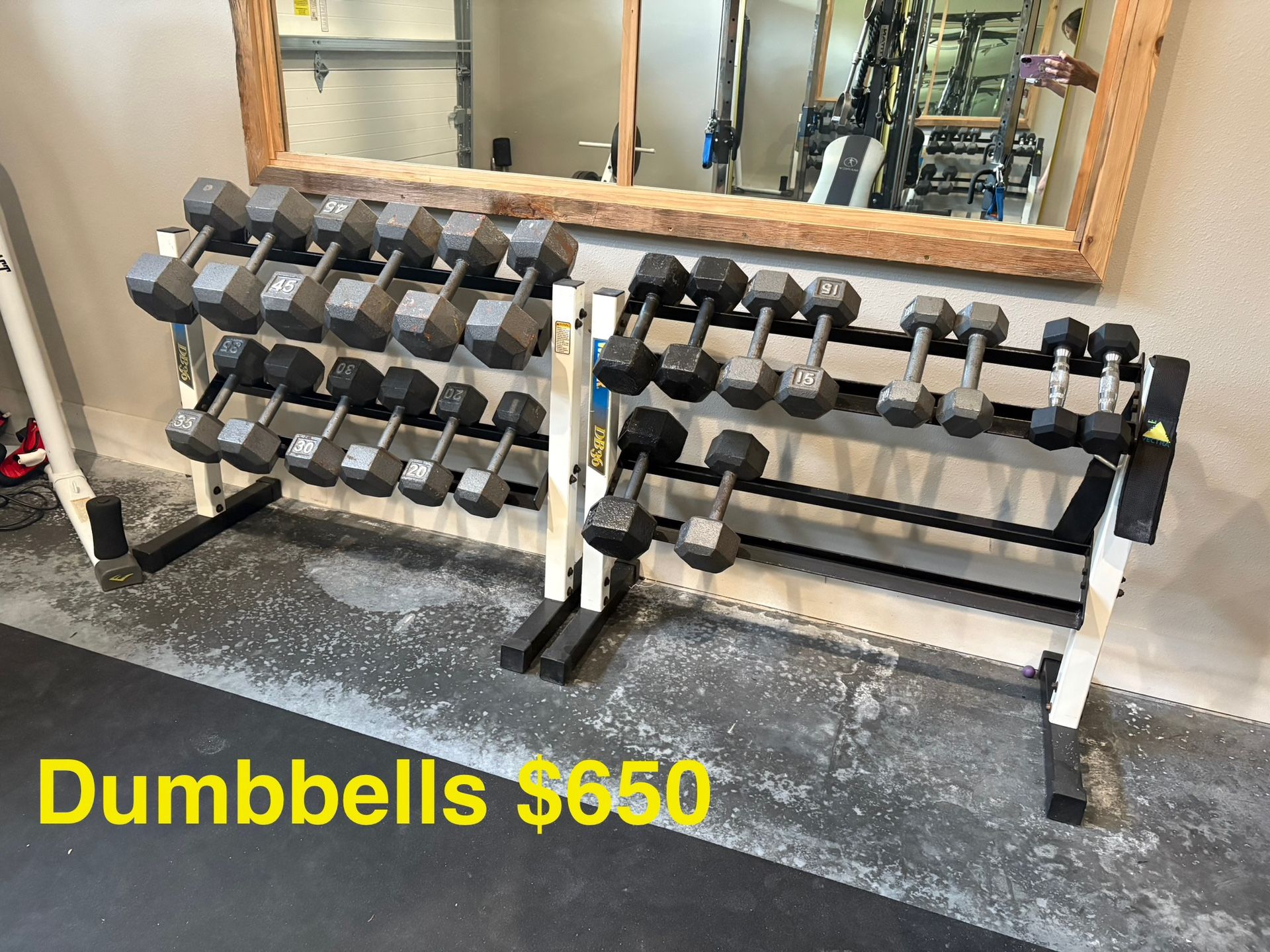 Dumbbell At 5-55 Pounds