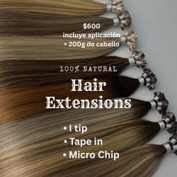 Extensions 