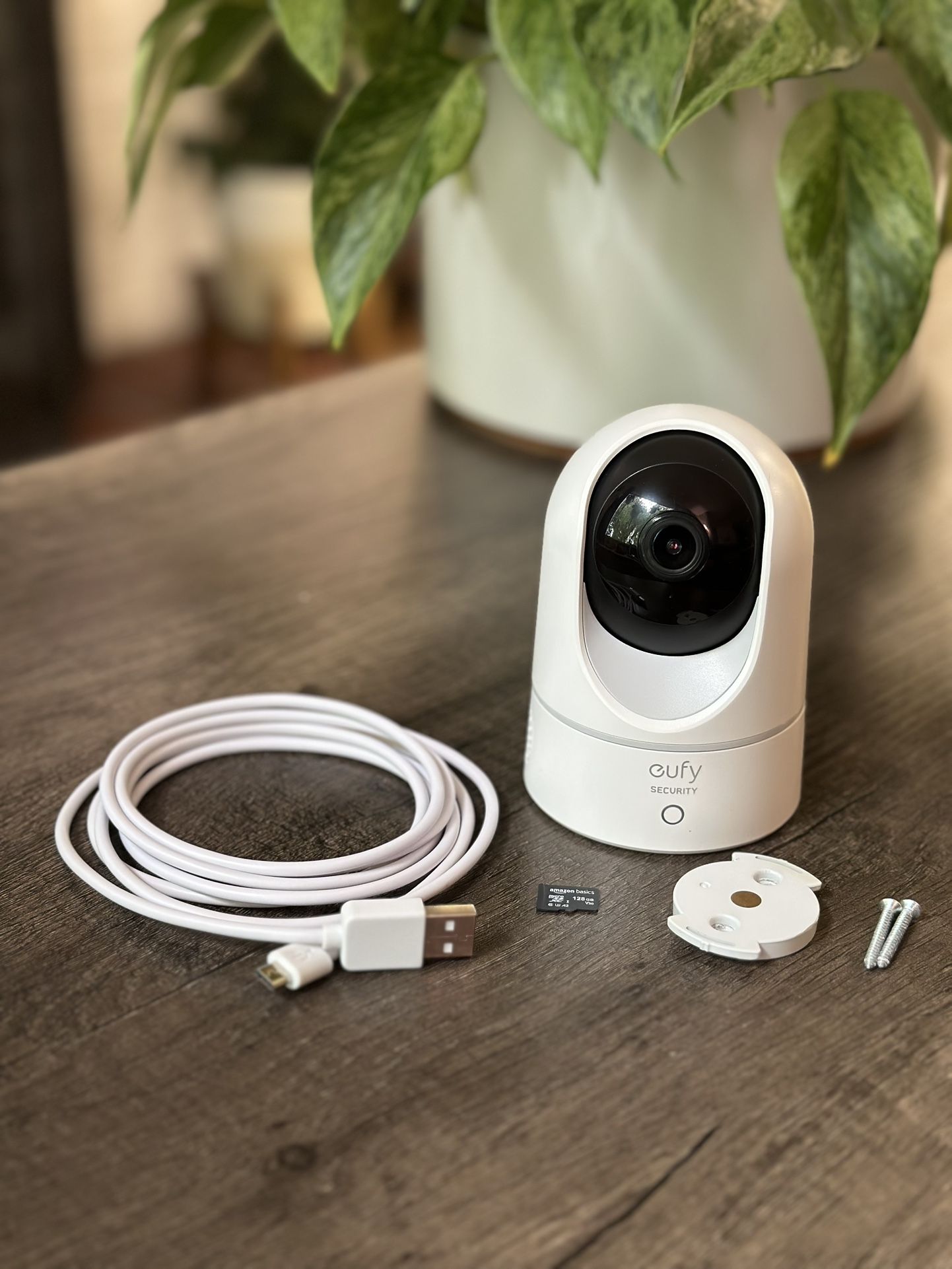 Eufy Indoor Cam (Human/Pet AI)