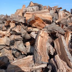 Firewood 