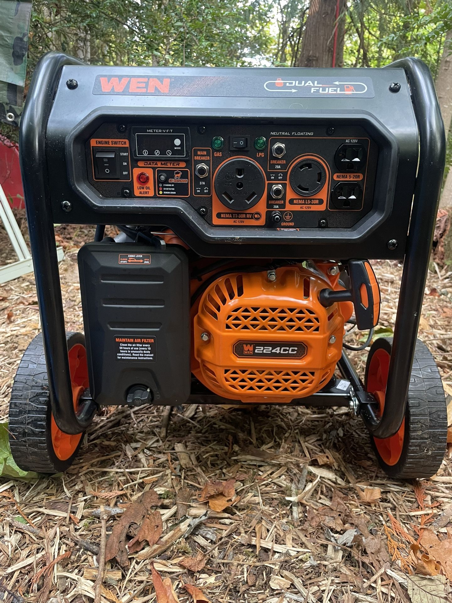 WEN, 5,600w Dual Fuel Generator, Electric Start
