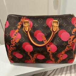 Louis Vuitton Speedy 30 