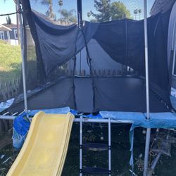 Free Trampoline 