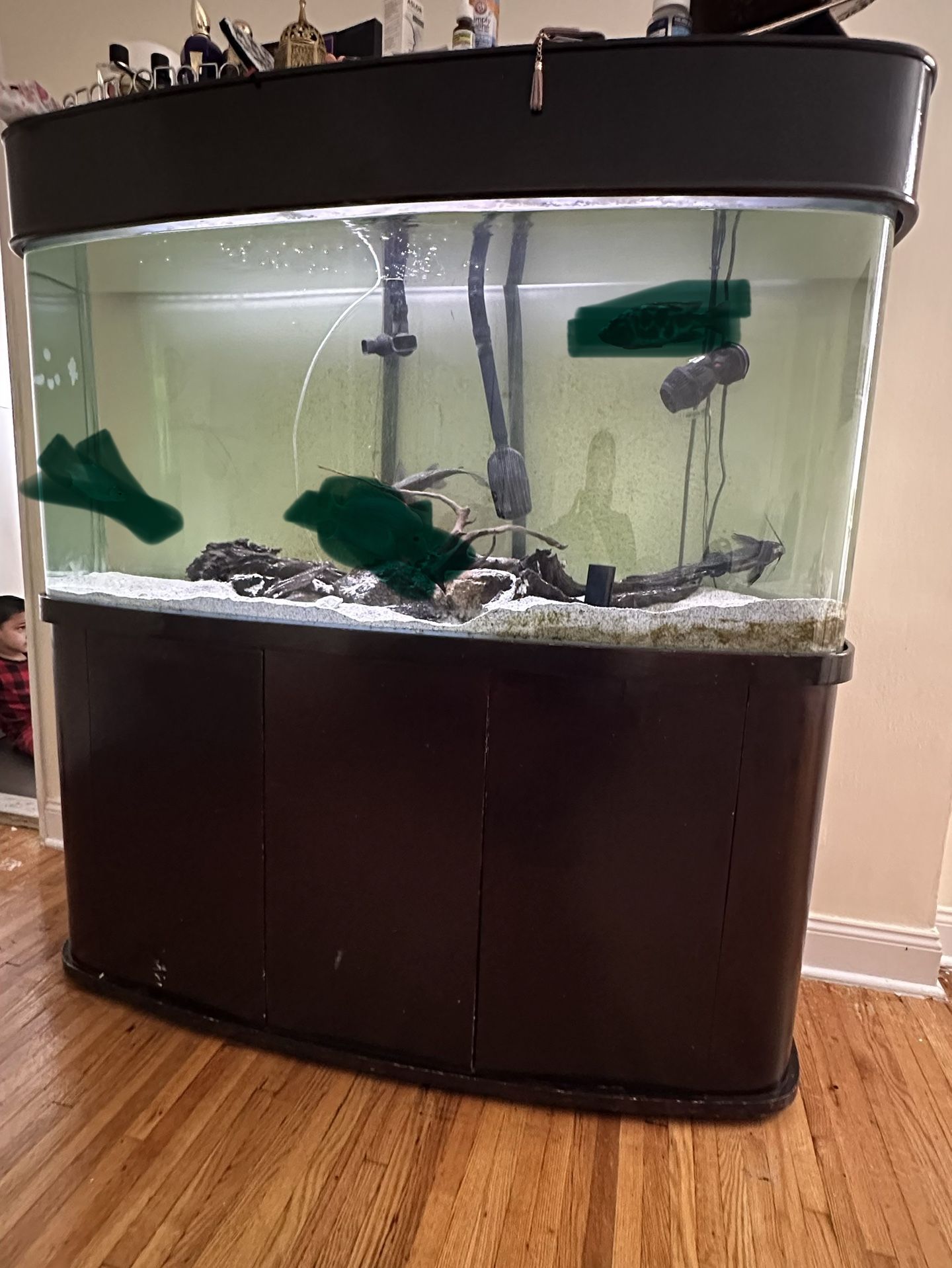 130 Gallons Fish Tank 