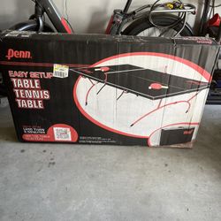 TABLE TENNIS 