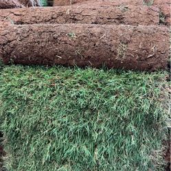 Grass Sod For Sale 