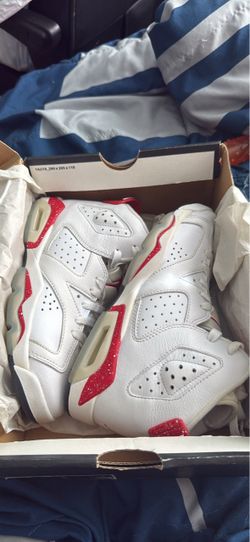 Air Jordan 6 retro