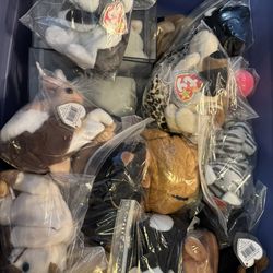 Beanie Babies