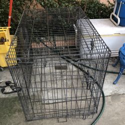 Big Dog Crate