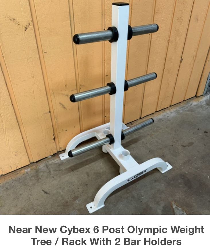 Near New Cybex 6 Post Olympic Weight Tree / Rack With 2 Bar Holders